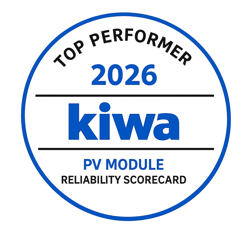 Kiwi Logo