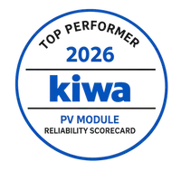 Kiwi Logo